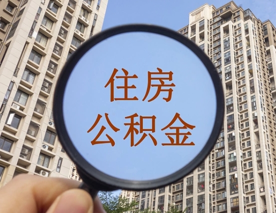 阿里退休后查不到公积金明细了吗（退休后公积金查询不到原因）